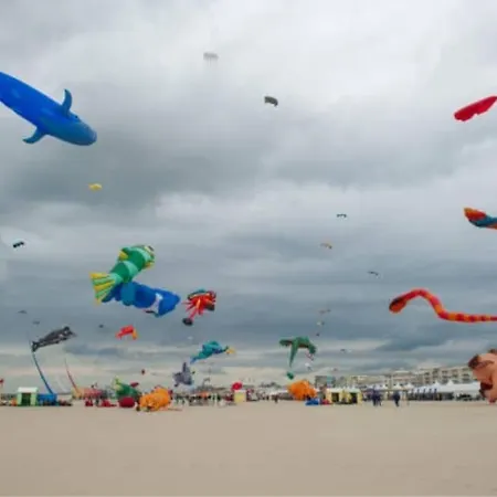 Bienvenue A L'ideal Maison Familiale Berck
